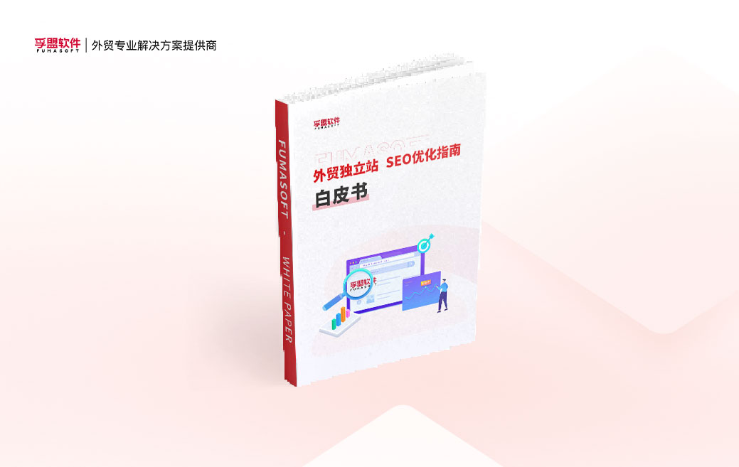 白皮书《外贸独立站SEO优化指南》